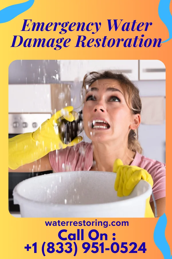 Emergency Water Damage Restoration in Tannersville, NY