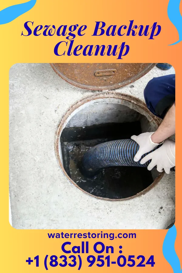 Sewage Backup Cleanup in Tannersville, NY
